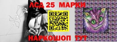 СК Канаш
