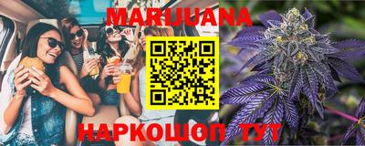 Альфа ПВП Кандалакша
