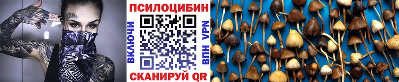 Галлюциногенные грибы Psilocybine cubensis  где купить   кракен   Сыктывкар 