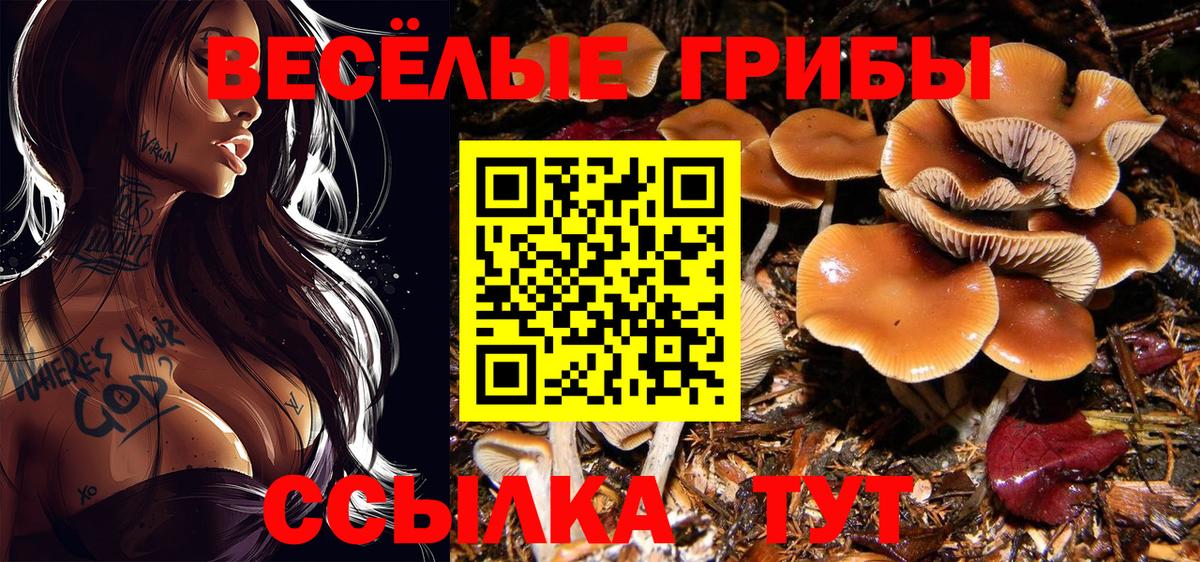 Сыктывкар  Псилоцибиновые грибы прущие грибы  Вход с VPN 