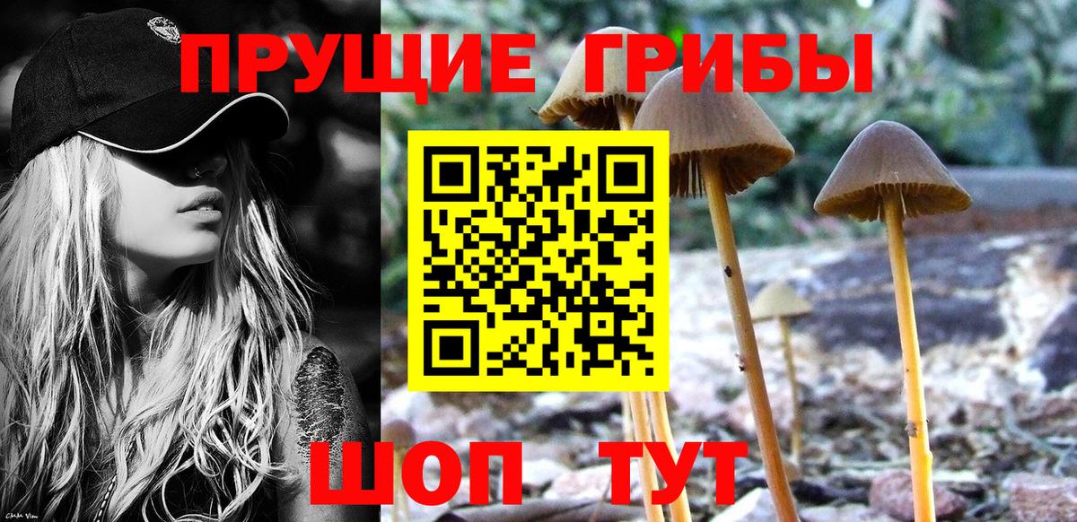 Псилоцибиновые грибы MAGIC MUSHROOMS Сыктывкар